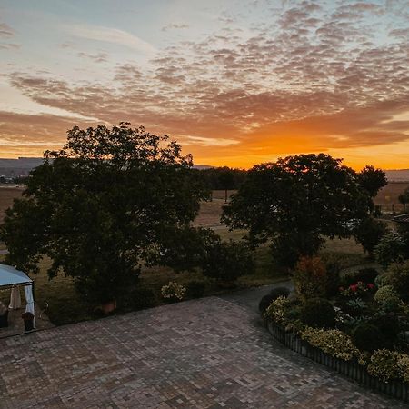 Weingut U. Gaestehaus Vogt-Fehlinger Biebelsheim Buitenkant foto