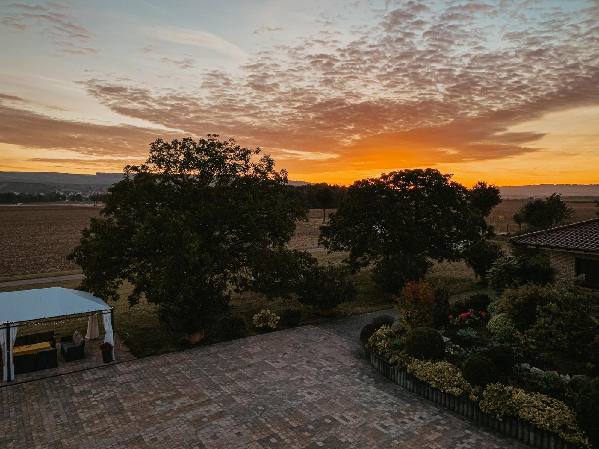 Weingut U. Gaestehaus Vogt-Fehlinger Biebelsheim Buitenkant foto